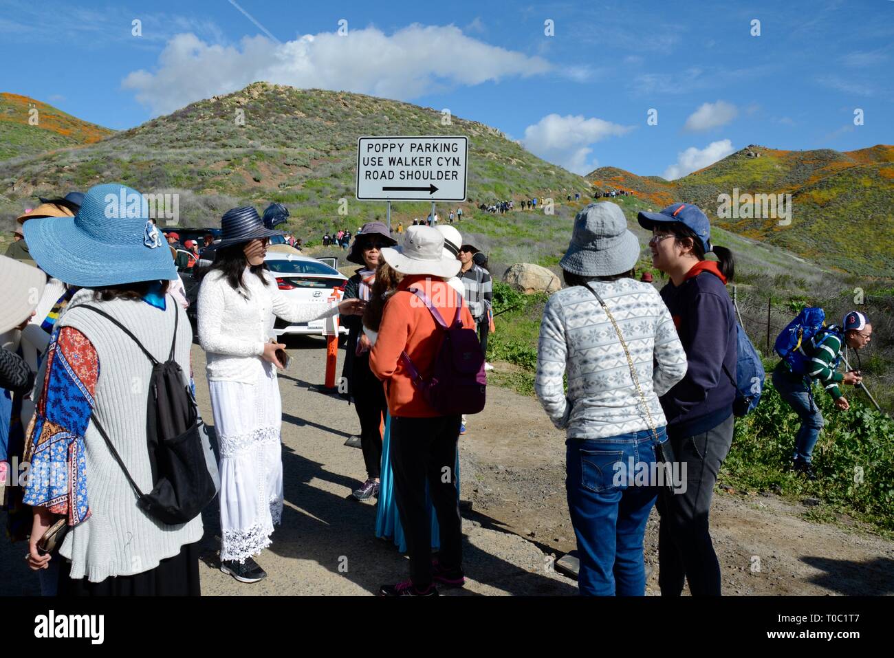 Super Bloom 2019. I turisti provenienti da tutto il mondo accorsi a vedere il Poppies a Walker Canyon prima la città chiusa a causa di travolgente folla. Foto Stock