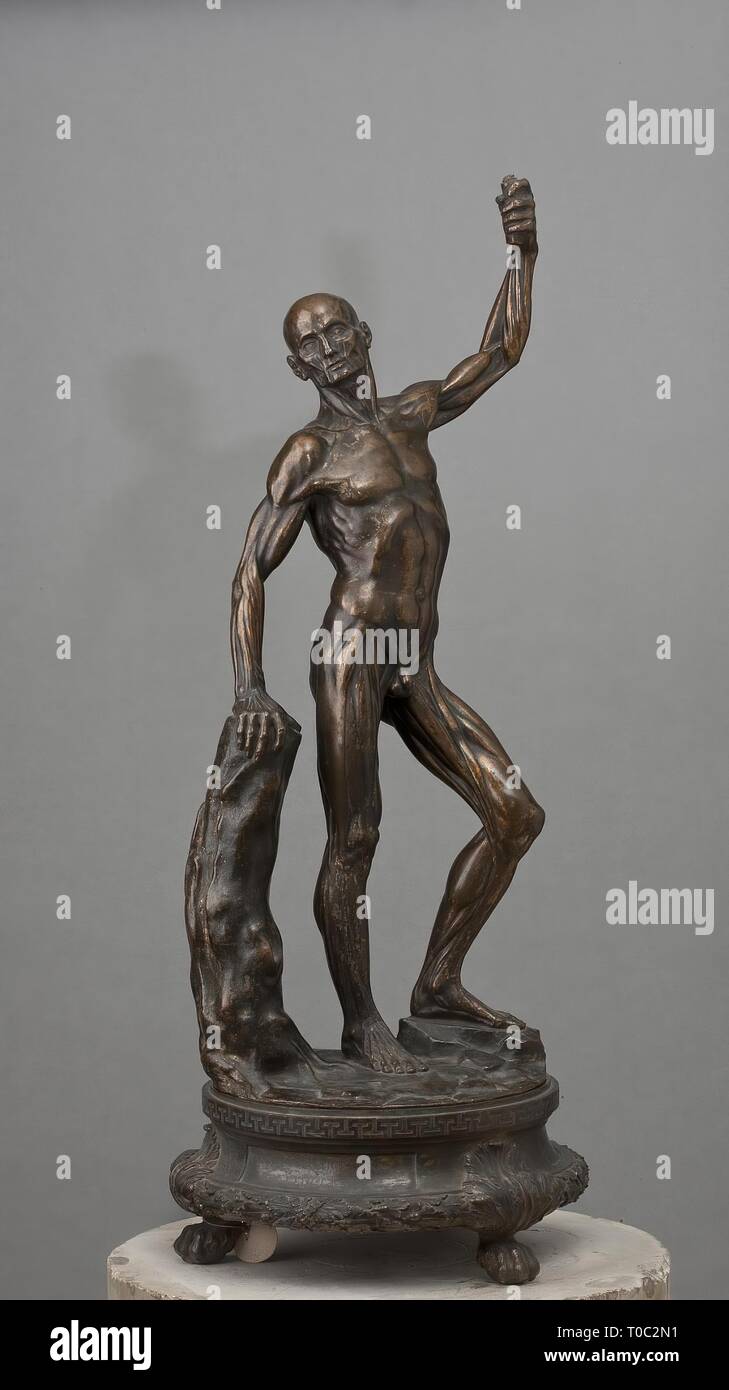 'Figura anatomica ("écorché')'. L'Italia, 1734. Dimensioni: altezza della figura: 53,0 cm; altezza del piedistallo: 10,0 cm. Museo: Membro Hermitage di San Pietroburgo. Foto Stock