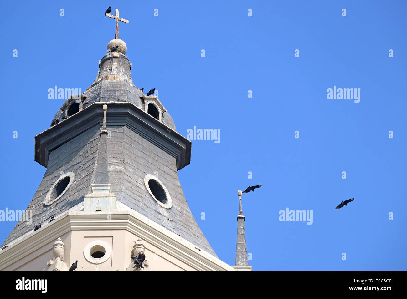 Gruppo di Condor intorno al Campanile della Cattedrale di Lima con blu cielo soleggiato di Lima in background, Perù, Sud America Foto Stock