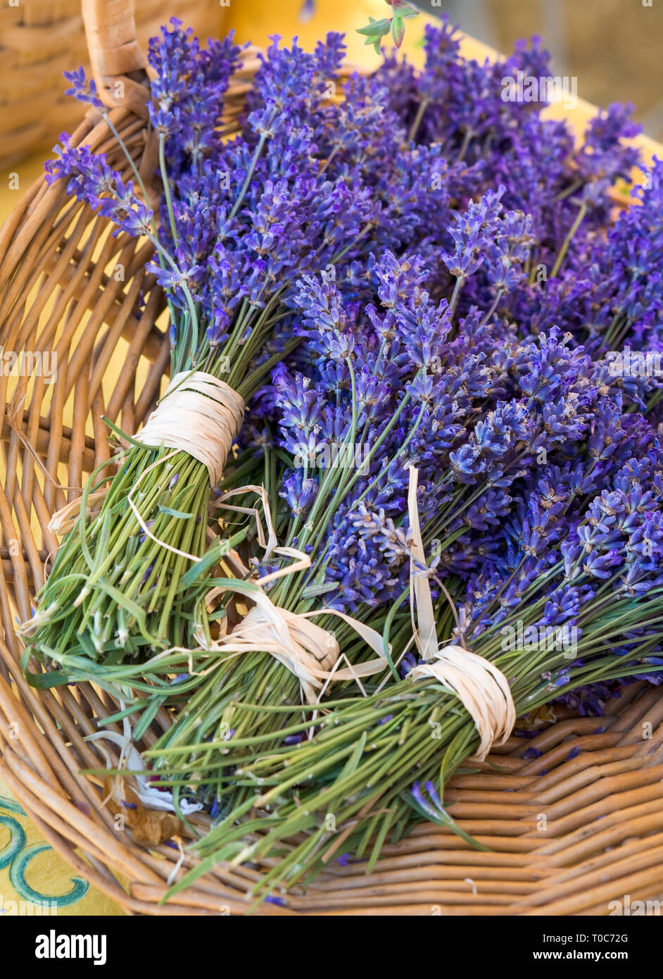 Mazzi di fiori di lavanda per la vendita al mercato degli agricoltori. Naturali, erbe aromaterapia. Foto Stock