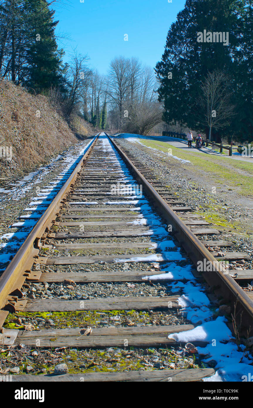 Binario ferroviario che conduce all'orizzonte. Foto Stock