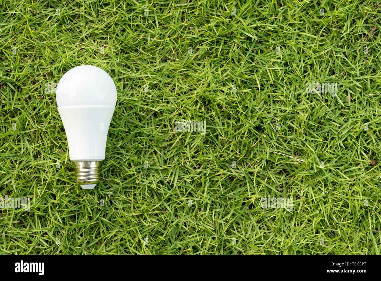 Concetto di energia verde. La luce del LED lampadina su un prato verde campo Foto Stock