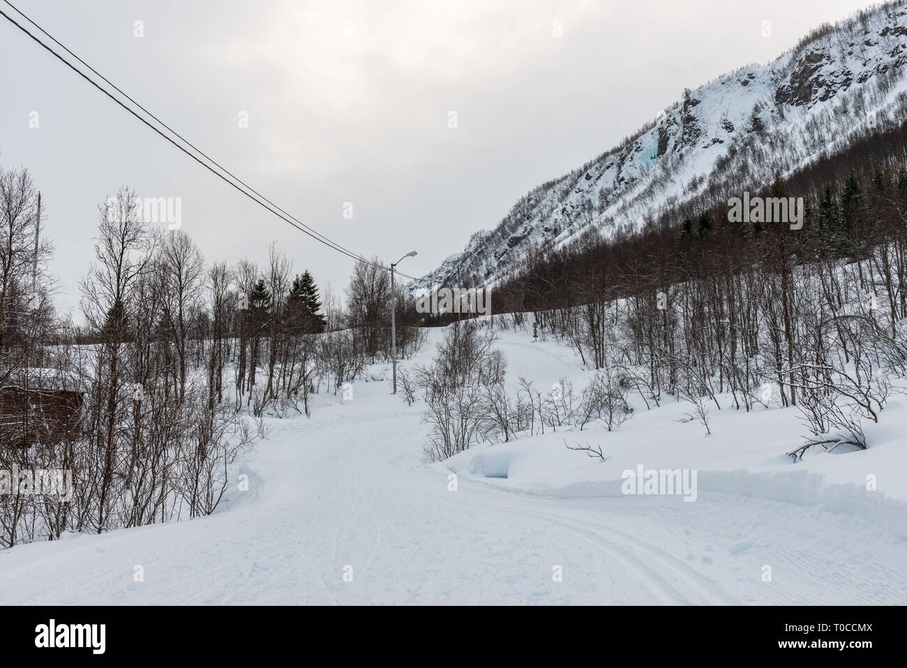 Paesaggio lungo le piste per lo sci di fondo in Tromsdalen, Tromsø/Norvegia. Febbraio 2019. Foto Stock