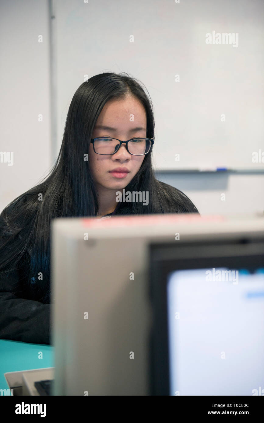 International Student e allievo nella stanza del computer di un College / Università studiare e tramite il computer desktop Foto Stock