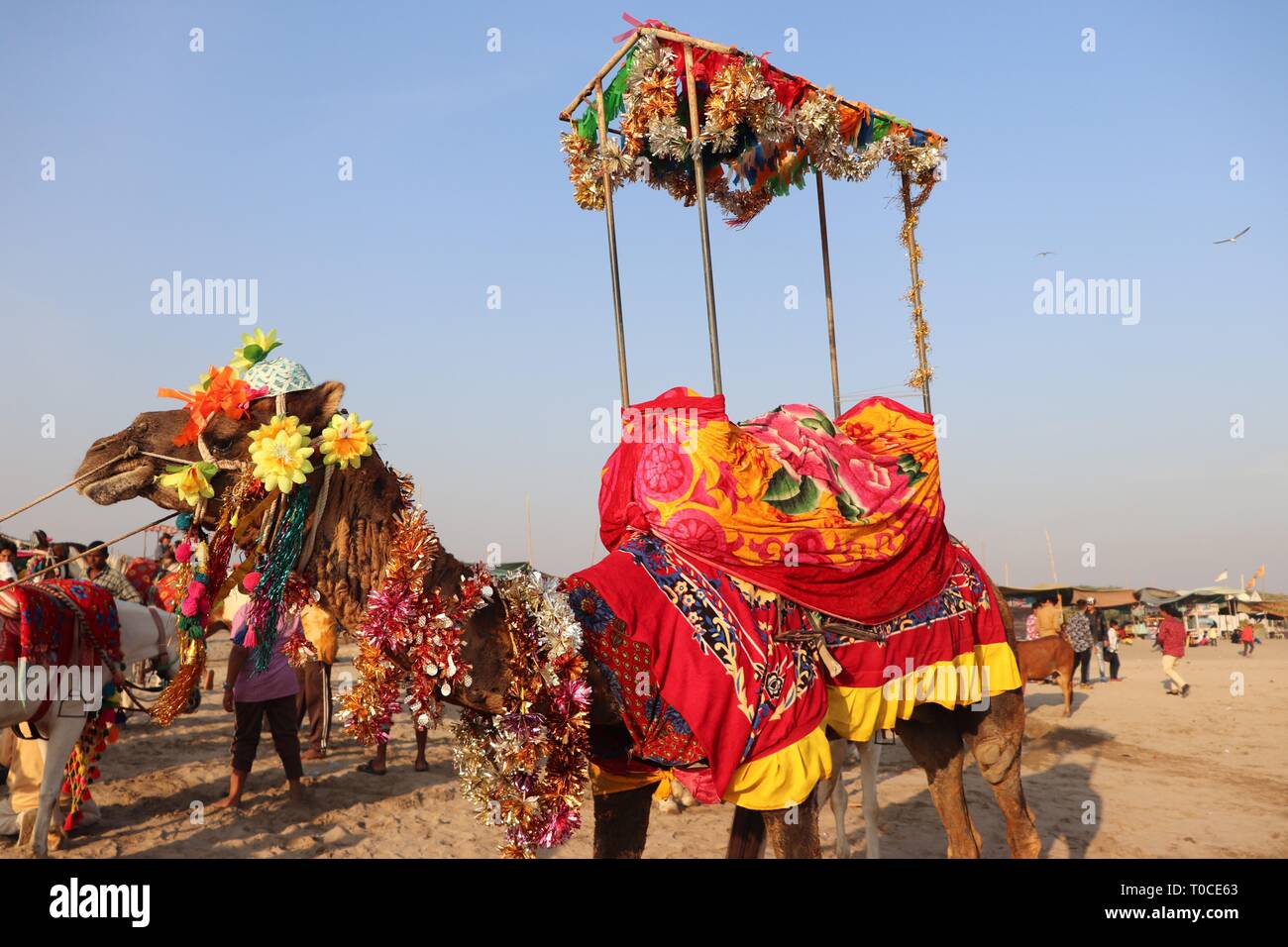 Turisti che si godono il loro tempo al tempio di Somnath beach/Somnath-Gujarat/India Foto Stock