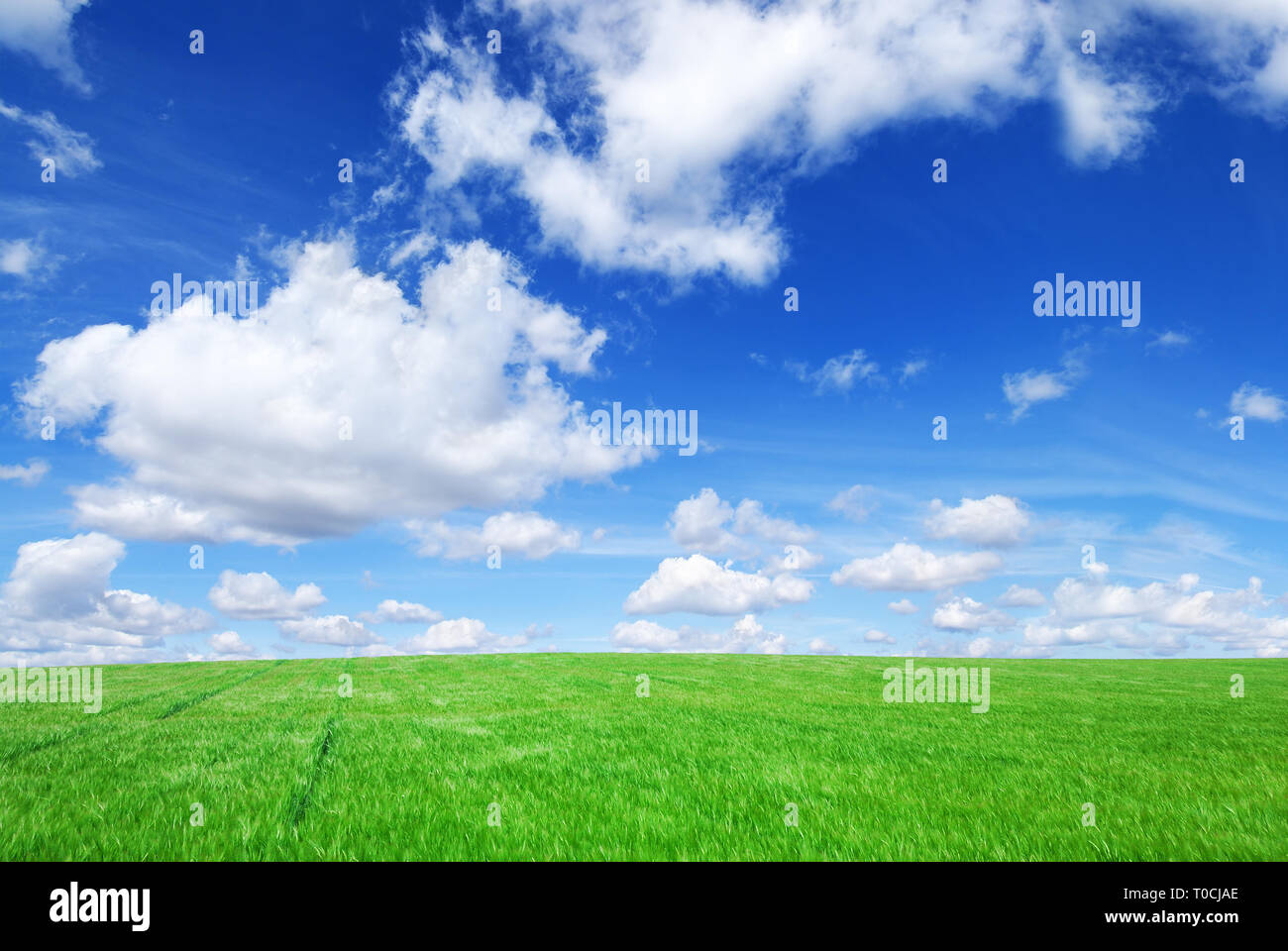 Paesaggio idilliaco, vista su campi verdi, cielo blu e nuvole bianche Foto Stock