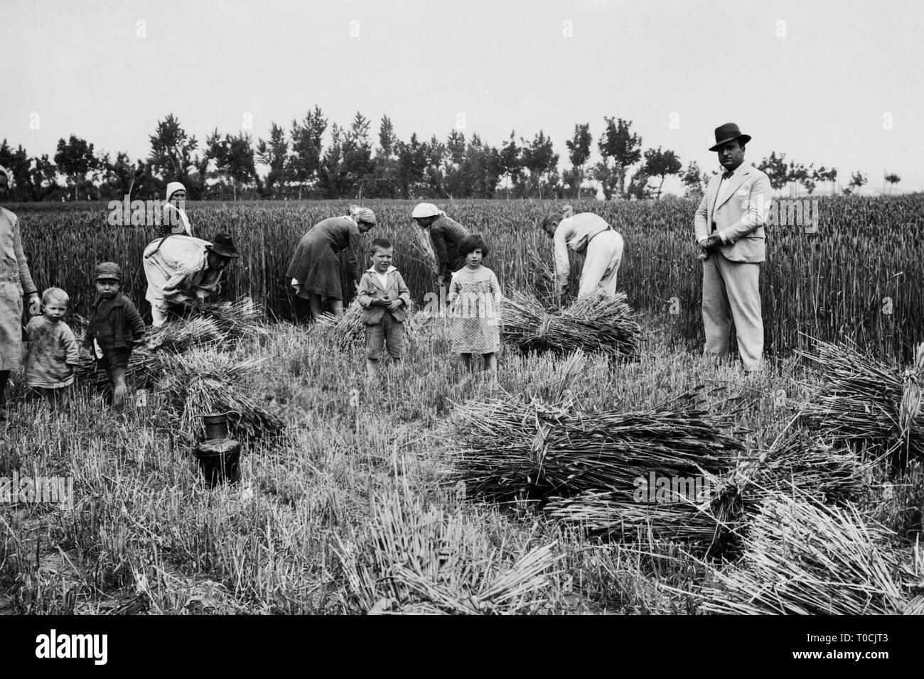Harvest, campania, Italia 1920 1930 Foto Stock