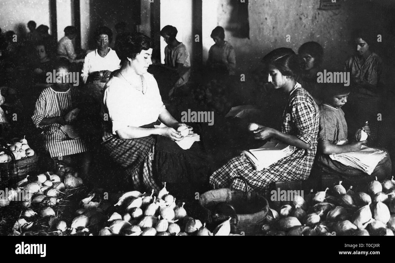 Avvolgimento di limoni, campania 1930-40 Foto Stock