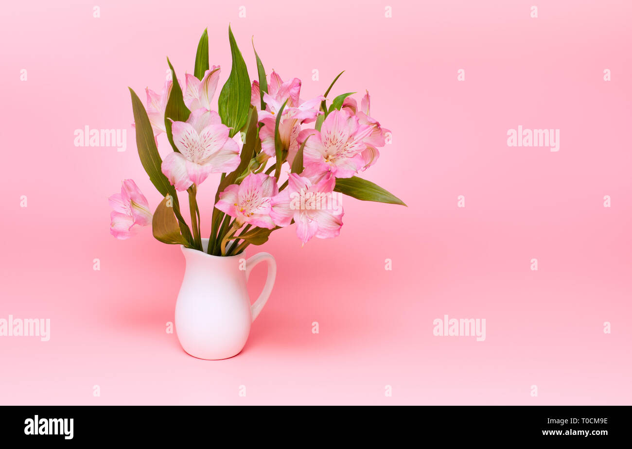 Bouquet di fiori di colore rosa su sfondo rosa. Fiori di Primavera in un vaso di bianco. Il minimalismo Foto Stock