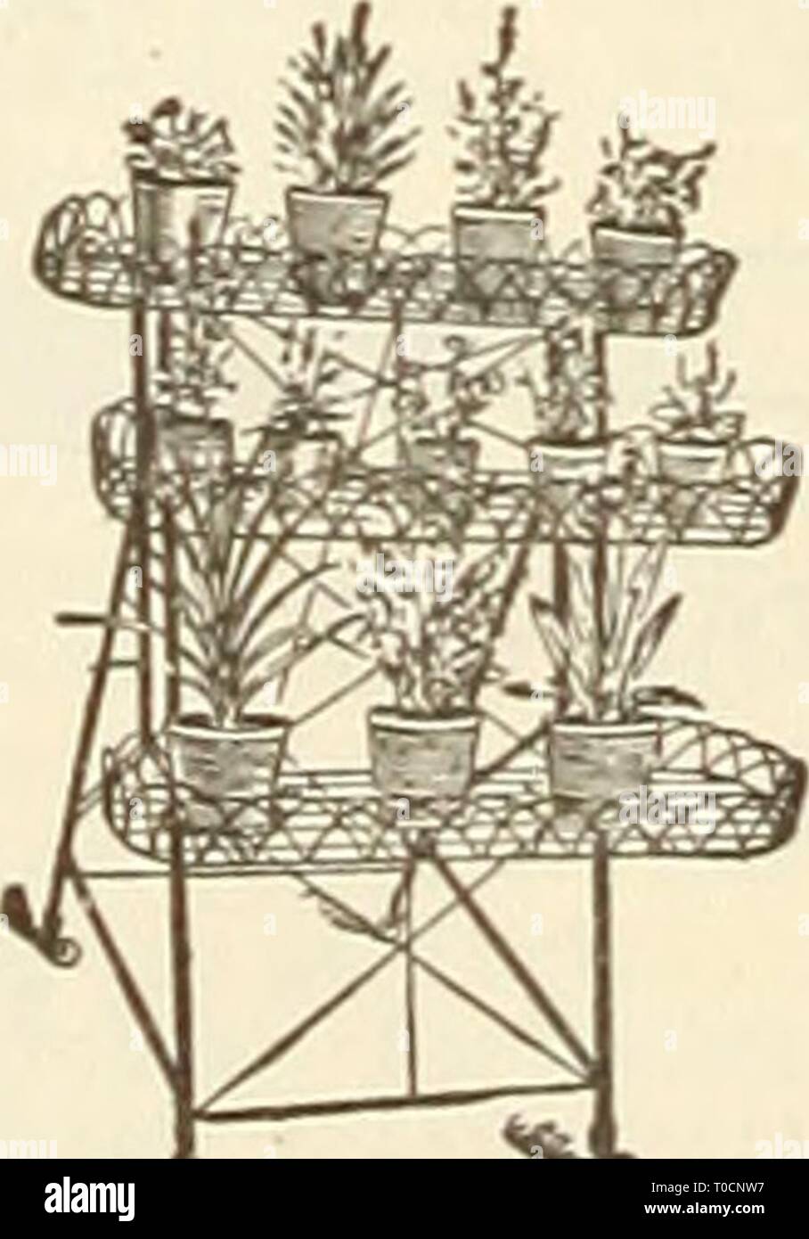 Dreer's garden prenota 1925 (1925) Dreer's garden prenota 1925 dreersgardenbook1925henr Anno: 1925 prua acciaio Rake autopulente automatico rastrello Keystone foglia Accessorio rack Schroeter Mole Tr.p foglie rack. La foglia di Keystone rack può essere utilizzato su qualsiasi carriola con lati rimovibile. Realizzato in filo zincato imbullonato ad una base di legno, con una capacità di 10 bushel, è molto conveniente per la raccolta di foglie, erba tagliata e rifiuti. Il prezzo non è incluso il carriola S8 00 mole di trap. Schroeter, S2.00; Reddick 1 25 Moss. Sphagnum, per crescere e impianti di confezionamento, balla... . 3 Così carta. Crêpe impermeabile, 18 in Foto Stock