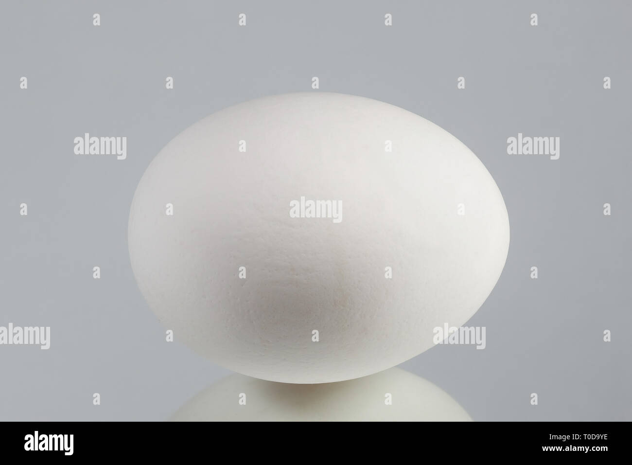 Forma di uovo di pollo Foto Stock