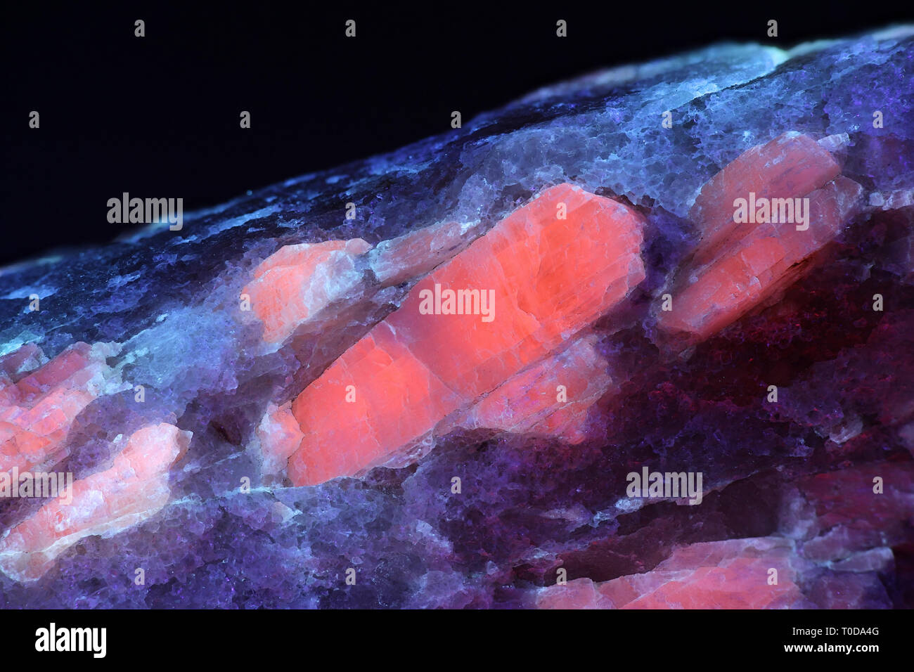 Cristalli di grandi industriali di minerale di litio spodumene mostranti fluorescenza rossa in luce ultravioletta (365 nm). Campione da Haapaluoma cava di litio in Foto Stock