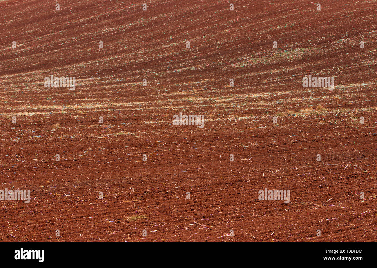 Arato di fresco di terra rossa fattoria rurale paddock dello sfondo dei campi con copia spazio. Foto Stock
