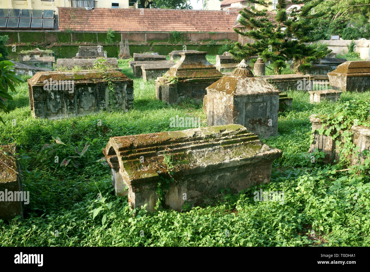 Cimitero olandese in Fort Kochi, Cochin, Kochi, Kerala, India, Asia Foto Stock