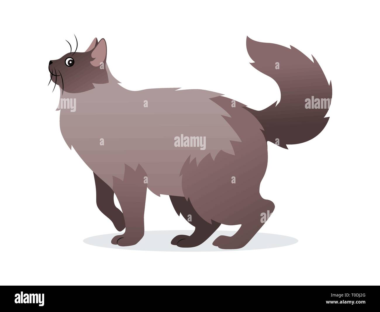 Con i capelli lunghi gatto con lunga coda soffici icona, pet isolati su sfondo bianco, animale domestico, illustrazione vettoriale in stile appartamento. Illustrazione Vettoriale