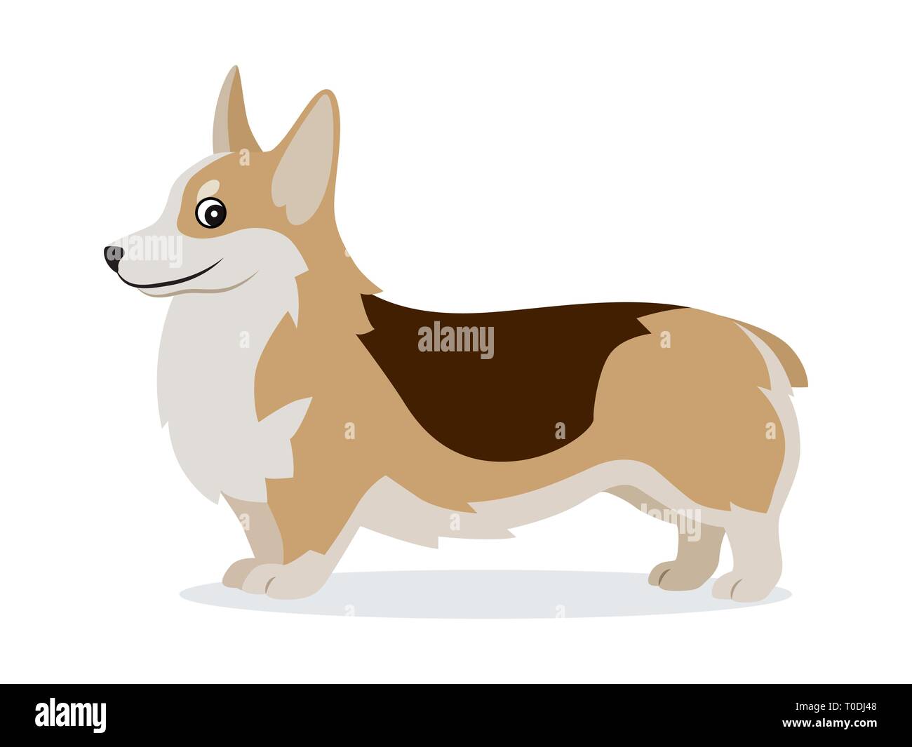 Carino icona corgi, piccolo cane giocoso con zampe brevi isolati, animale domestico, pet, illustrazione vettoriale Illustrazione Vettoriale