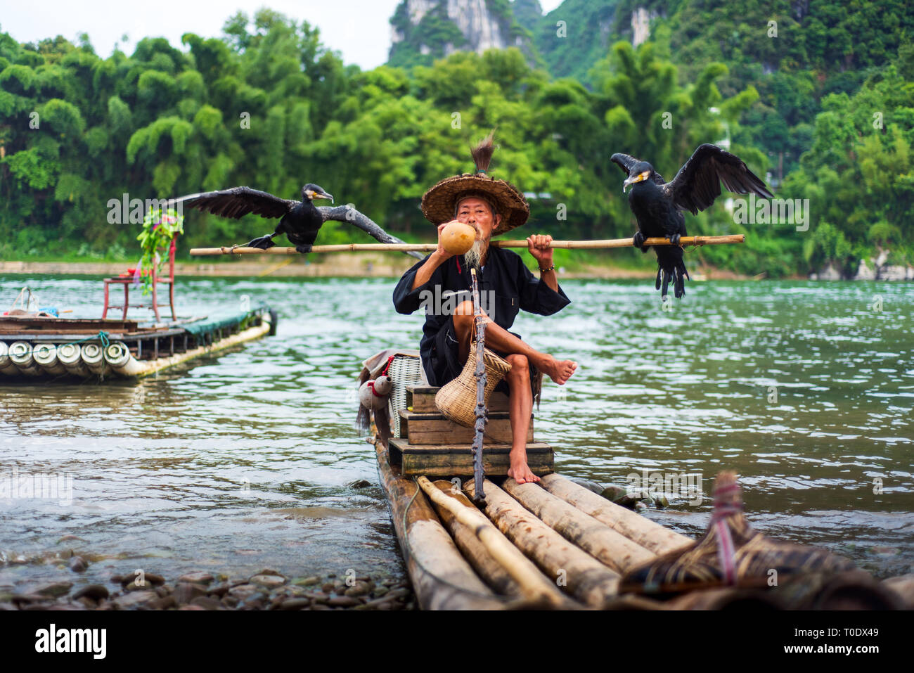 Yangshuo, Cina - 27 Luglio 2018: Tradizionale cormorano pescatore per un bambù zattere sul fiume Li in Yangshuo vicino a Guilin in Cina Foto Stock