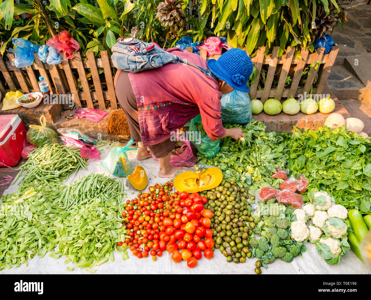 Vecchia donna vendita di verdura, mattina street market alimentare, Luang Prabang, Laos, SE Asia Foto Stock