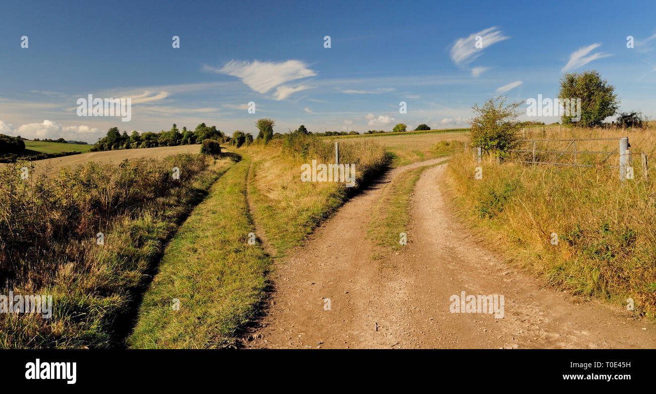 Una via di giunzione a un ingresso del campo. Foto Stock