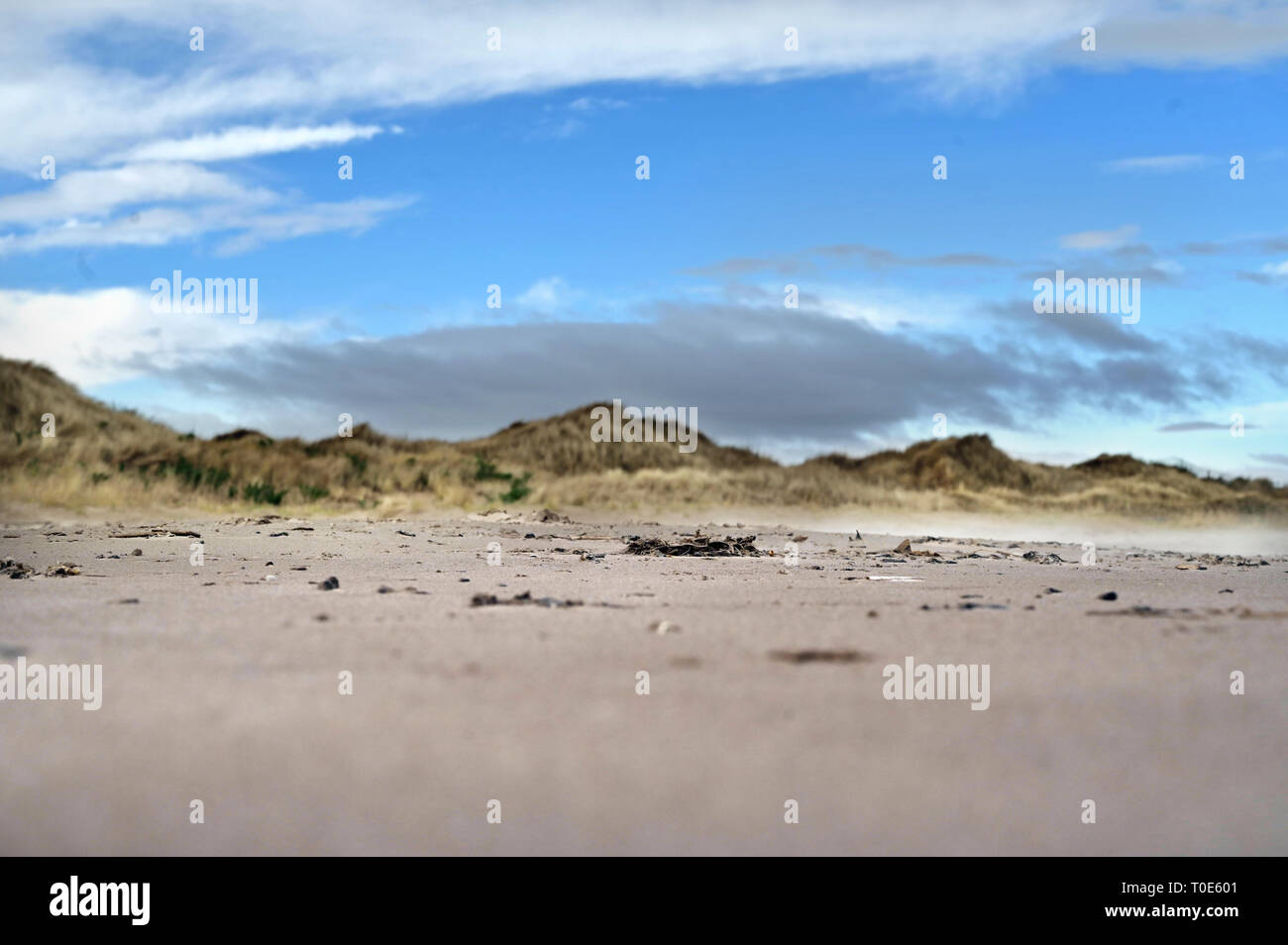 St Andrews, Scozia west sands beach Foto Stock