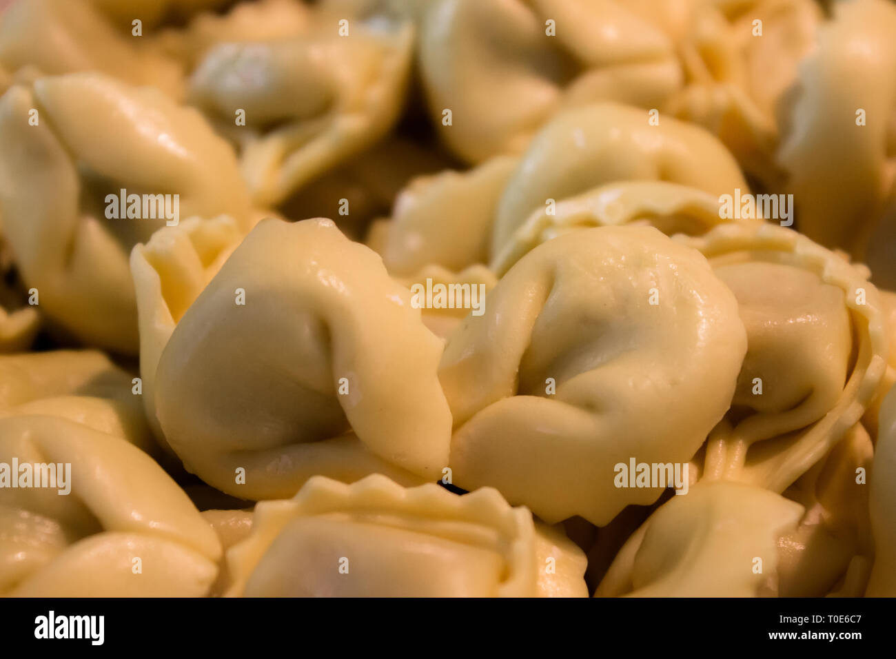 Tortellini freschi con ripieno di carne non cotta. Un piatto tipico della tradizione italiana. Foto Stock