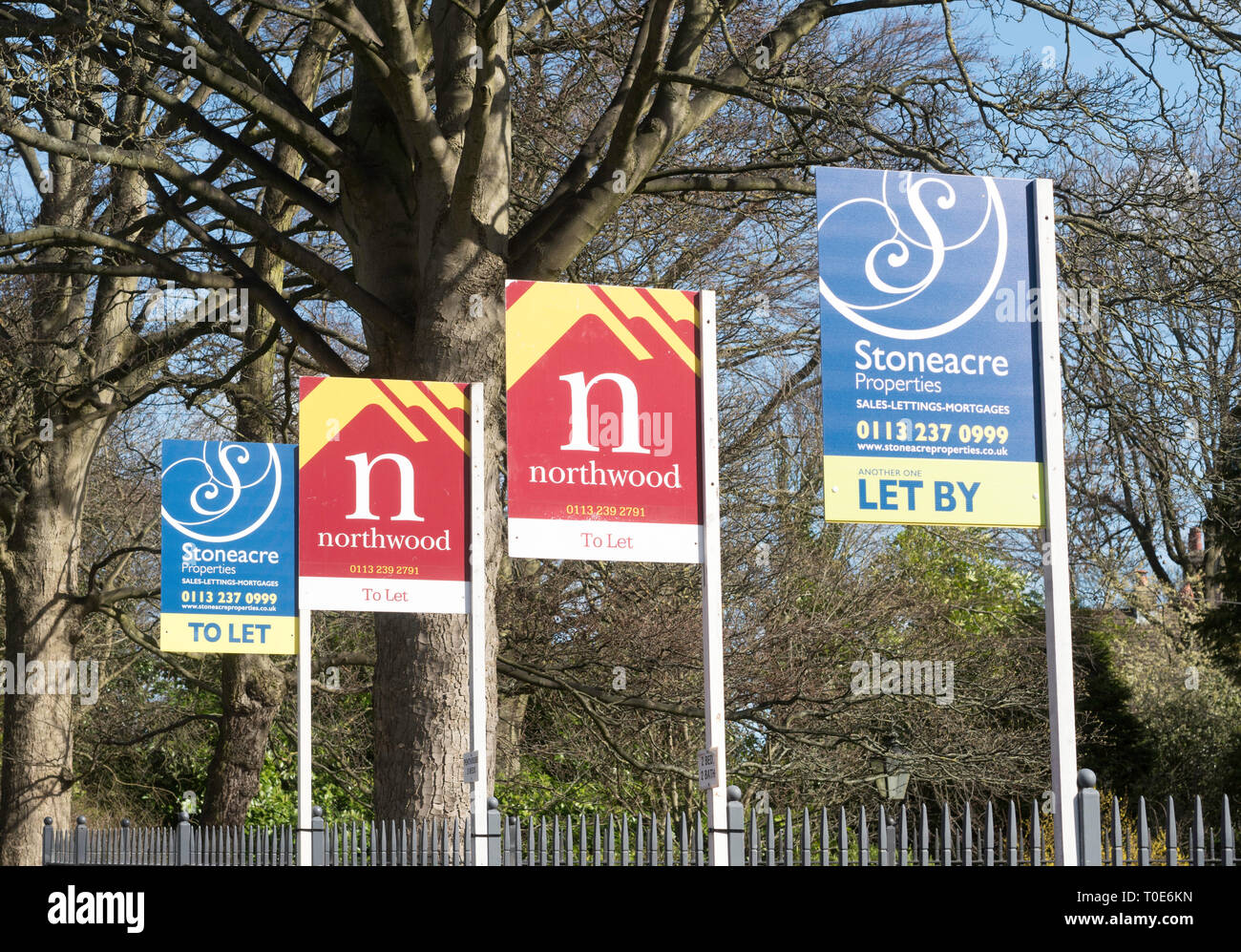 Una fila di agenti immobiliari di lasciare segni, Oakwood, Leeds, West Yorkshire, Inghilterra, Regno Unito Foto Stock