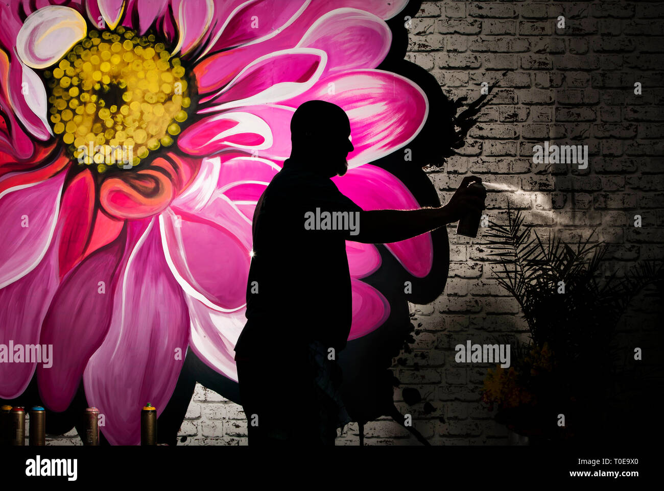 Murale artista Lee traghetto la spruzzatura di una lattina di spray bianco vernice come egli lavora su un murale di fiori durante l'anteprima di stampa di Harrogate fiore di primavera mostra al grande Yorkshire Showground, Harrogate. Foto Stock