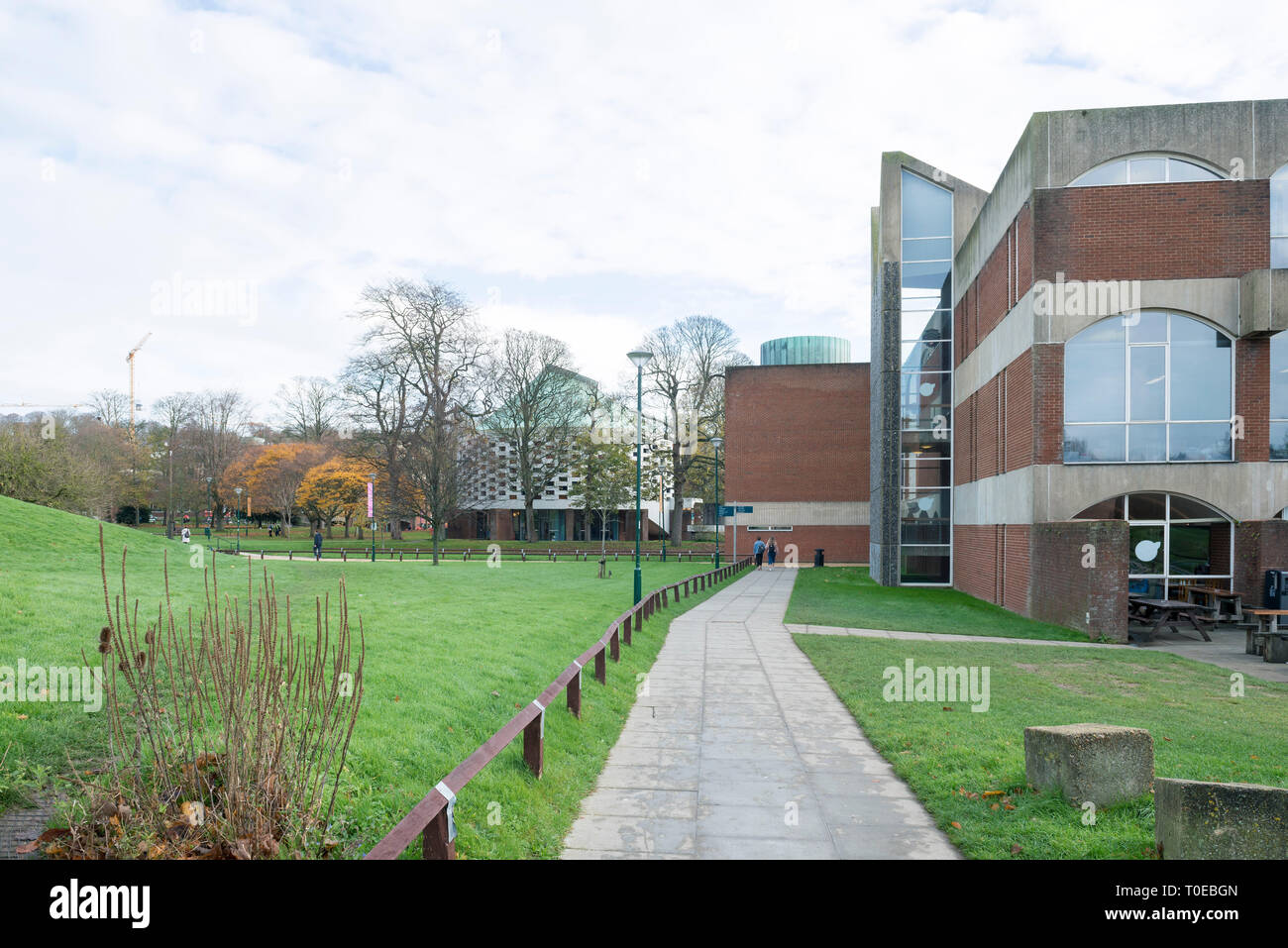 Foto di al di fuori delle aree comuni e gli edifici dell'Università del Sussex a Brighton Foto Stock