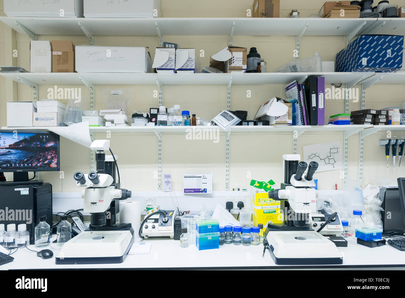 Dettagli intorno a un medico scientifico laboratorio di ricerca presso la University of Sussex Foto Stock