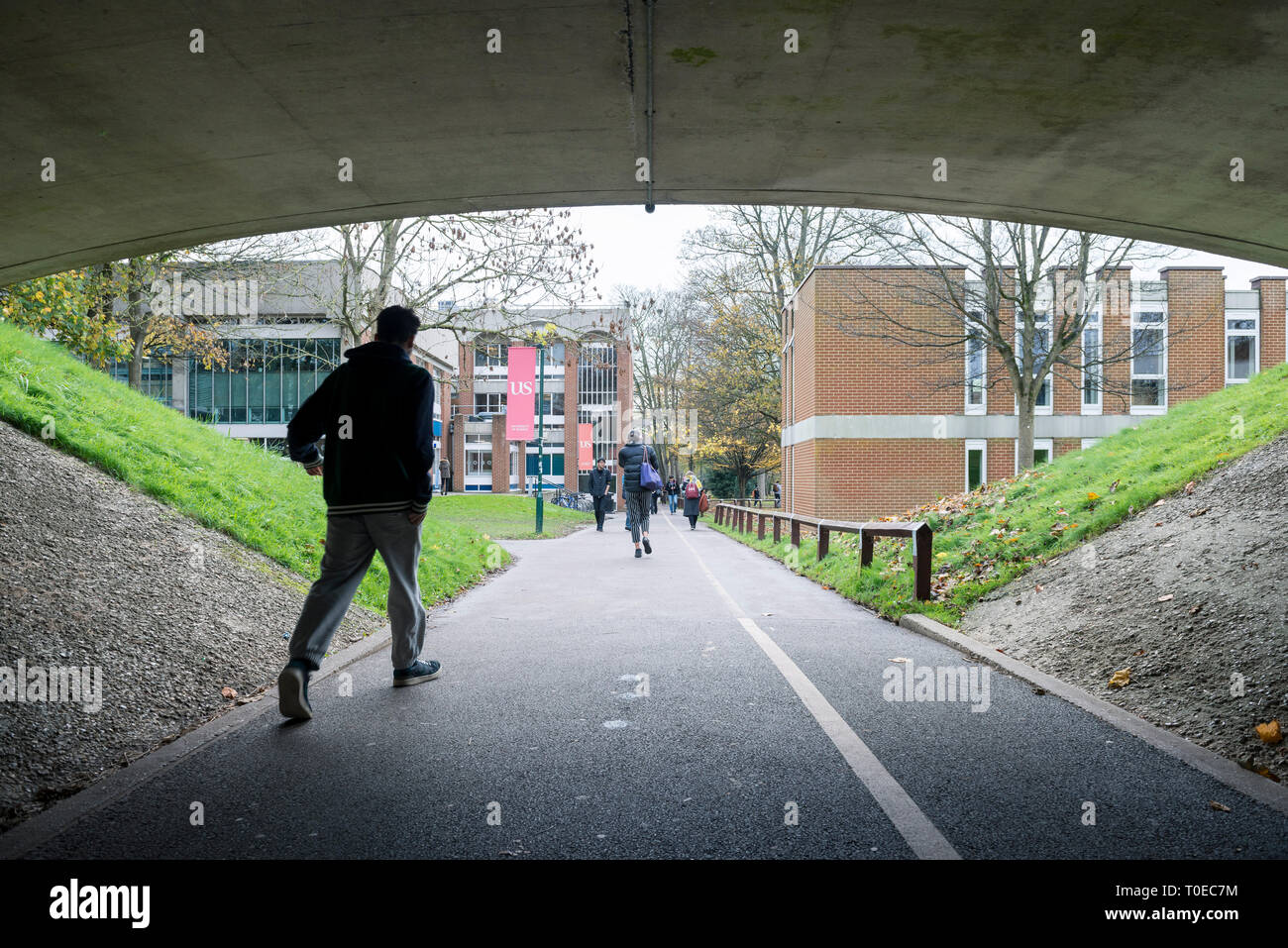 Foto di al di fuori delle aree comuni e gli edifici dell'Università del Sussex a Brighton Foto Stock