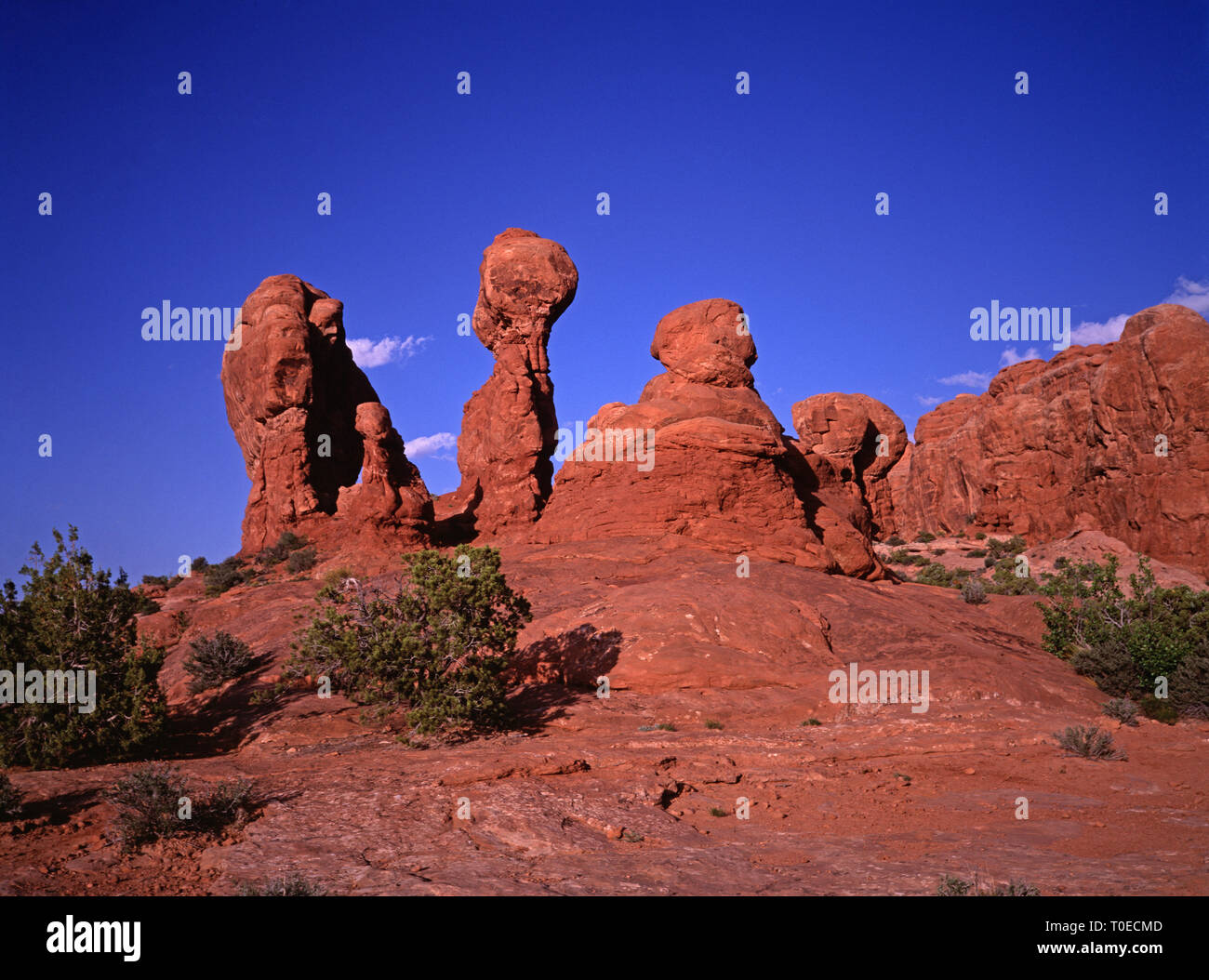 Stati Uniti d'America. Utah. Arches National Park. Giardino di Eden formazioni rocciose. Foto Stock