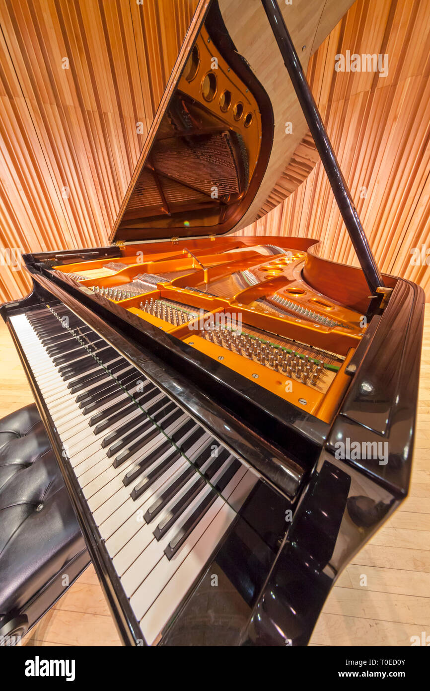 Un pianoforte a coda con il coperchio sollevato rivelando il piano interno. Foto Stock