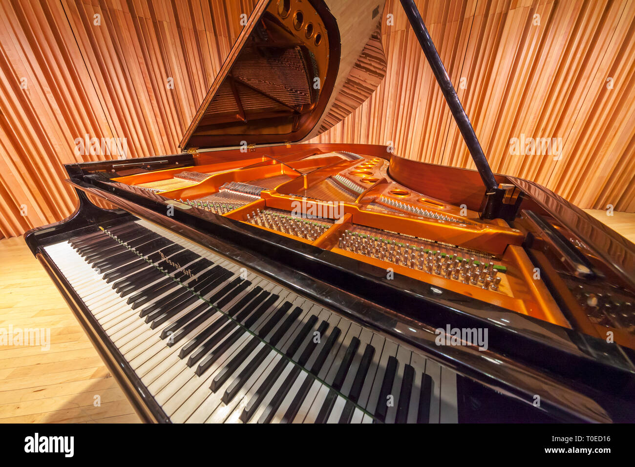 Un pianoforte a coda con il coperchio sollevato rivelando il piano interno. Foto Stock