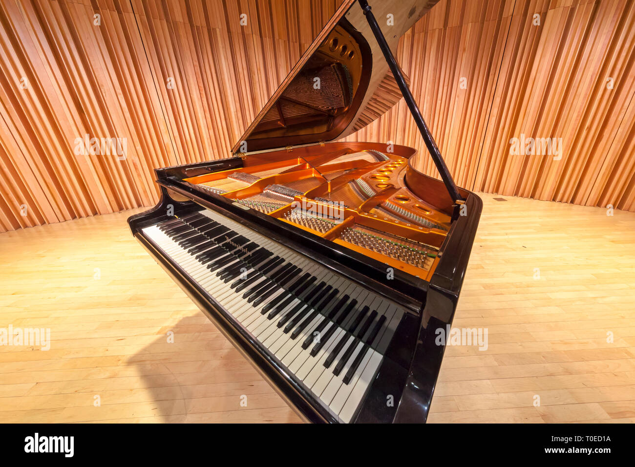 Un pianoforte a coda con il coperchio sollevato rivelando il piano interno. Foto Stock