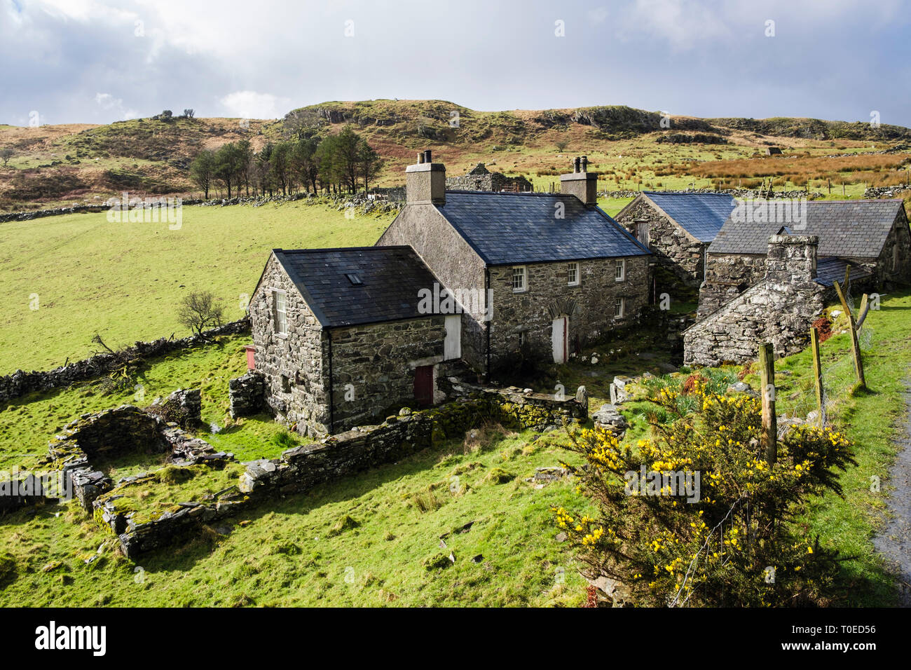 "Erwsuran' un tradizionale gallese antico casale in pietra con tetto in ardesia e annessi in colline di Snowdonia. Tremadog Gwynedd north Wales UK Gran Bretagna Foto Stock