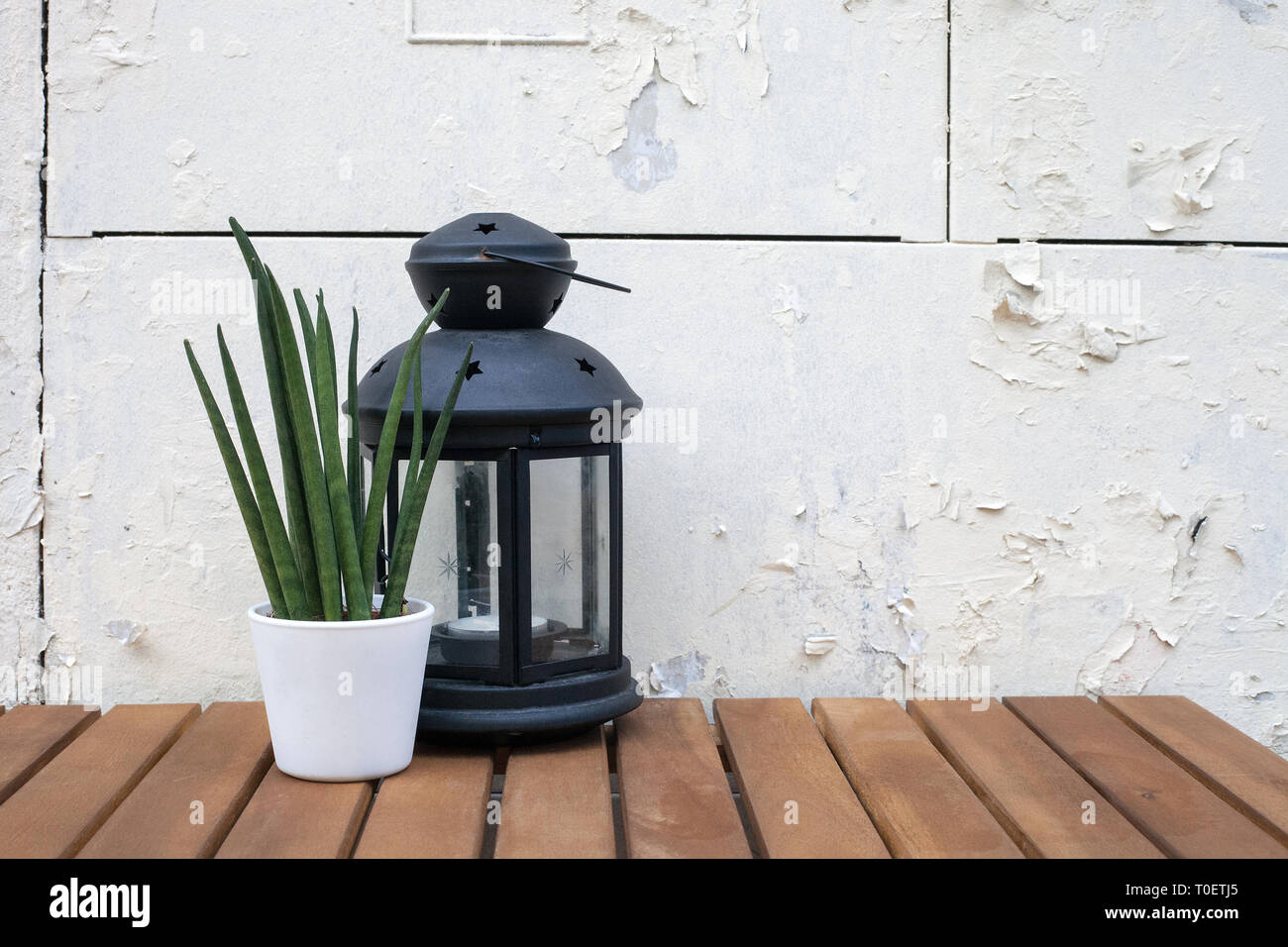 Vecchia lanterna in vetro con candela e Sansevieria cylindrica (cilindrico impianto di serpente) vasi di fiore sul tavolo di legno da sfondo bianco. Home decor con Foto Stock