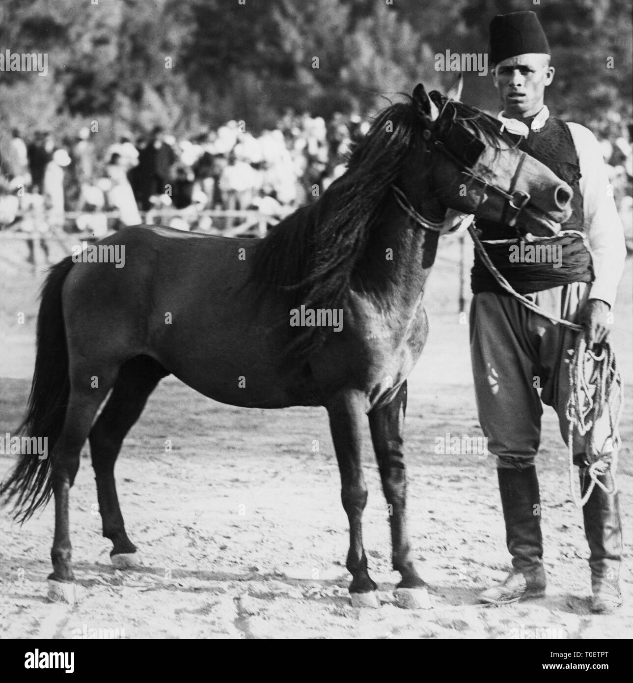 In Europa, in Grecia, Rodi, pony allevatore, 1935 Foto Stock