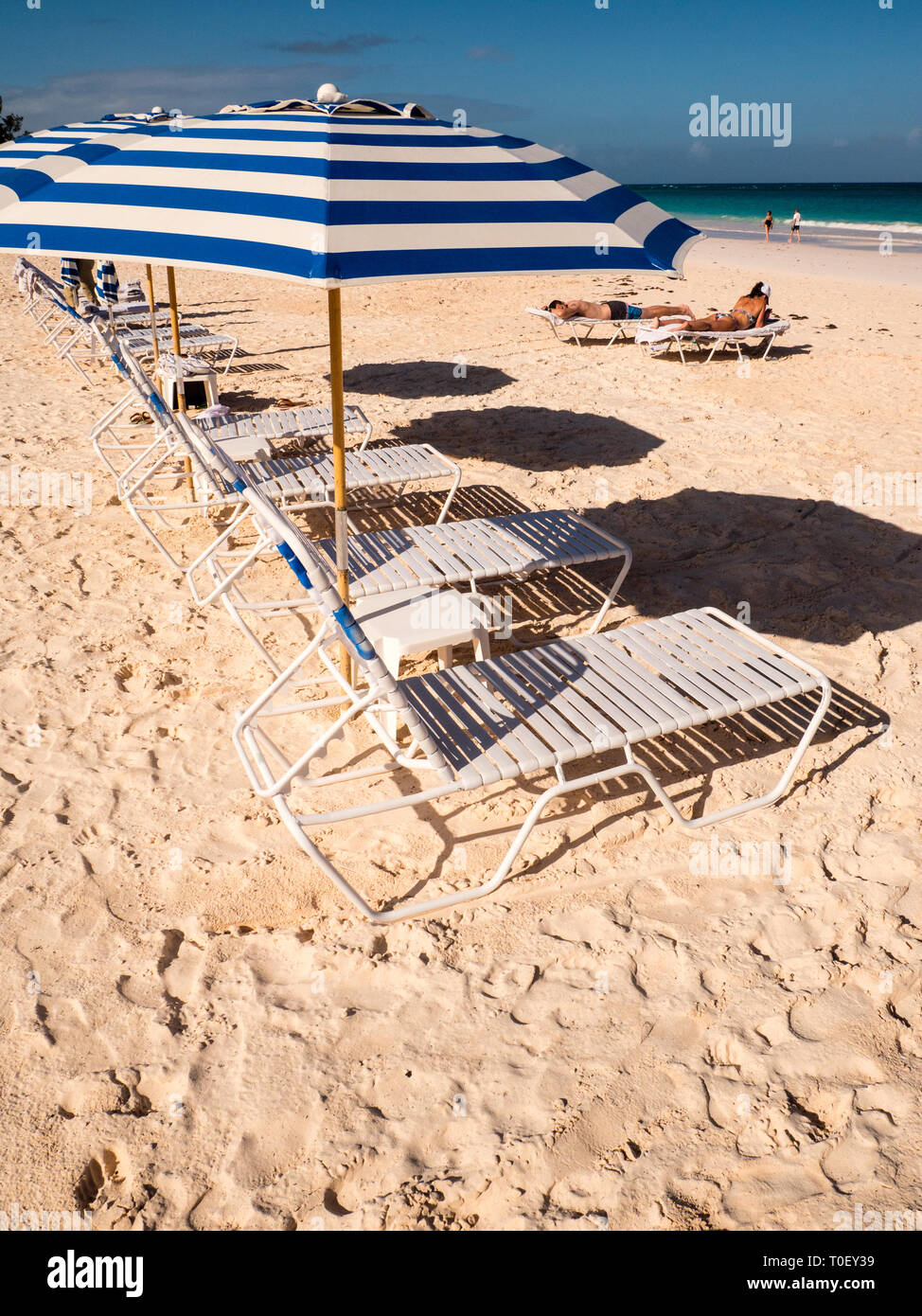 Lettini, sdraio, sabbie rosa Beach, Dunmore Town, Harbour Island, Eleuthera, Bahamas, dei Caraibi. Foto Stock