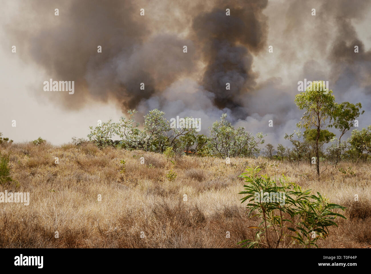 Australia paesaggi. Strade, deserto, prati, trasporti, paesaggi Foto Stock