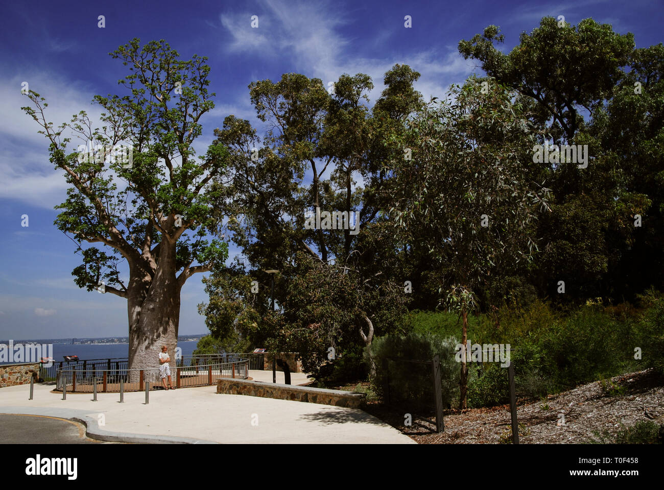 Australia paesaggi. Strade, deserto, prati, trasporti, paesaggi Foto Stock