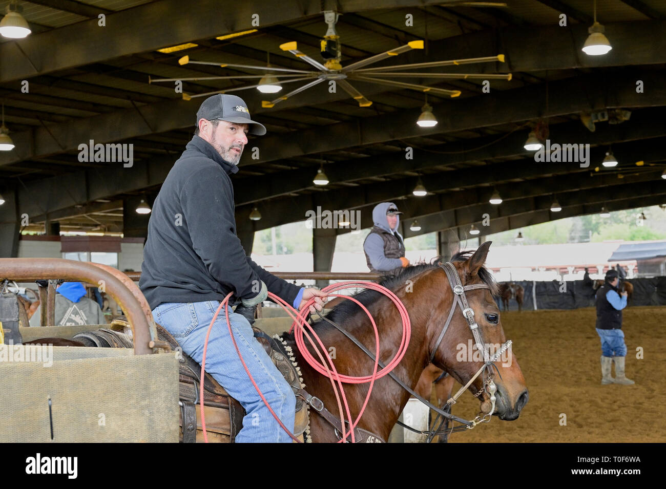 Cowboy americano su una baia sellati cavallo in attesa di un team roping evento o pratica prima di un rodeo a Montgomery in Alabama, Stati Uniti d'America. Foto Stock