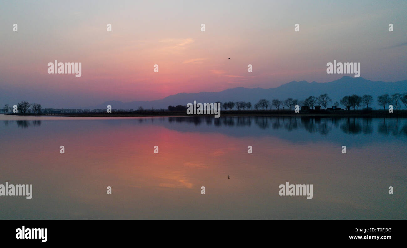 Pechino, Cina. Xvii Mar, 2019. Foto scattate con un telefono cellulare mostra un uccello che sta volando su un lago a Pechino anatra selvatica Lake National Wetland Park a Pechino Capitale della Cina, Marzo 17, 2019. Credito: Wang Jianhua/Xinhua/Alamy Live News Foto Stock