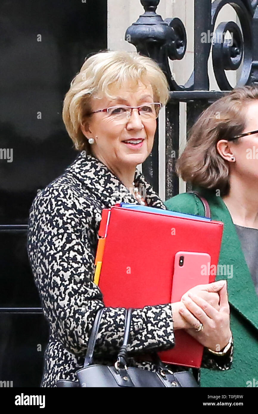 A Downing Street, London, Regno Unito 19 marzo 2019 - Andrea Leadsom - signore Presidente del Consiglio e il Leader della House of Commons si discosta dal n. 10 di Downing Street dopo aver frequentato il settimanale riunione del gabinetto. È stato riportato che Andrea Leadsom era furioso durante i novanta minuti di riunione del gabinetto martedì 19 marzo, di blasti 'Remainer membri del gabinetto' di bloccaggio per uscita dell'UE. Credito: Dinendra Haria/Alamy Live News Foto Stock