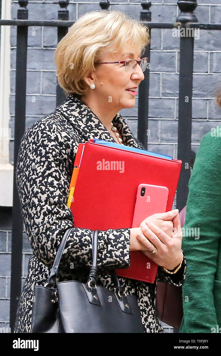 A Downing Street, London, Regno Unito 19 marzo 2019 - Andrea Leadsom - signore Presidente del Consiglio e il Leader della House of Commons si discosta dal n. 10 di Downing Street dopo aver frequentato il settimanale riunione del gabinetto. È stato riportato che Andrea Leadsom era furioso durante i novanta minuti di riunione del gabinetto martedì 19 marzo, di blasti 'Remainer membri del gabinetto' di bloccaggio per uscita dell'UE. Credito: Dinendra Haria/Alamy Live News Foto Stock