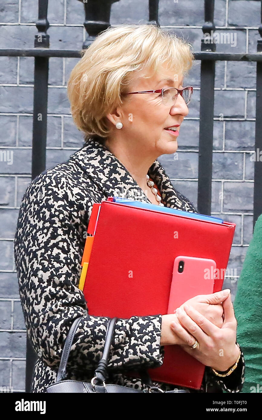 A Downing Street, London, Regno Unito 19 marzo 2019 - Andrea Leadsom - signore Presidente del Consiglio e il Leader della House of Commons si discosta dal n. 10 di Downing Street dopo aver frequentato il settimanale riunione del gabinetto. È stato riportato che Andrea Leadsom era furioso durante i novanta minuti di riunione del gabinetto martedì 19 marzo, di blasti 'Remainer membri del gabinetto' di bloccaggio per uscita dell'UE. Credito: Dinendra Haria/Alamy Live News Foto Stock