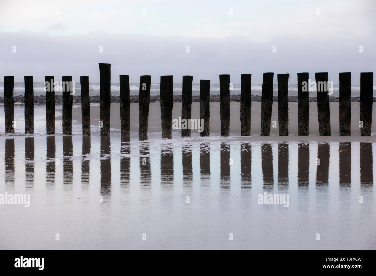 Wangerooge, Ostfriesland, il Wadden Sea, West Beach a bassa marea, frangiflutti, pennelli, pali di legno, Frisia orientale, nella Germania del nord, Costa del Mare del Nord, Foto Stock
