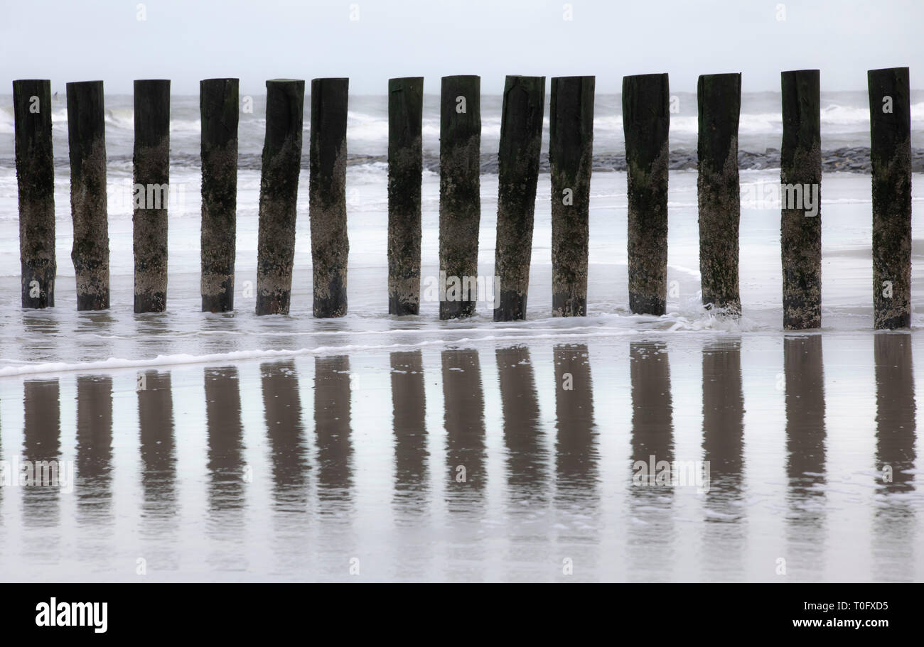 Wangerooge, Ostfriesland, il Wadden Sea, West Beach a bassa marea, frangiflutti, pennelli, pali di legno, Frisia orientale, nella Germania del nord, Costa del Mare del Nord, Foto Stock