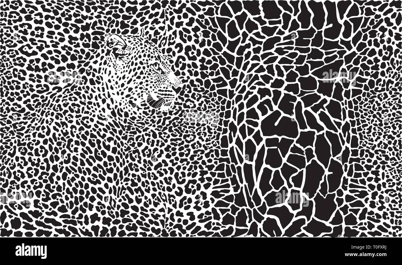 Sfondo con la giraffa e in Leopard Illustrazione Vettoriale