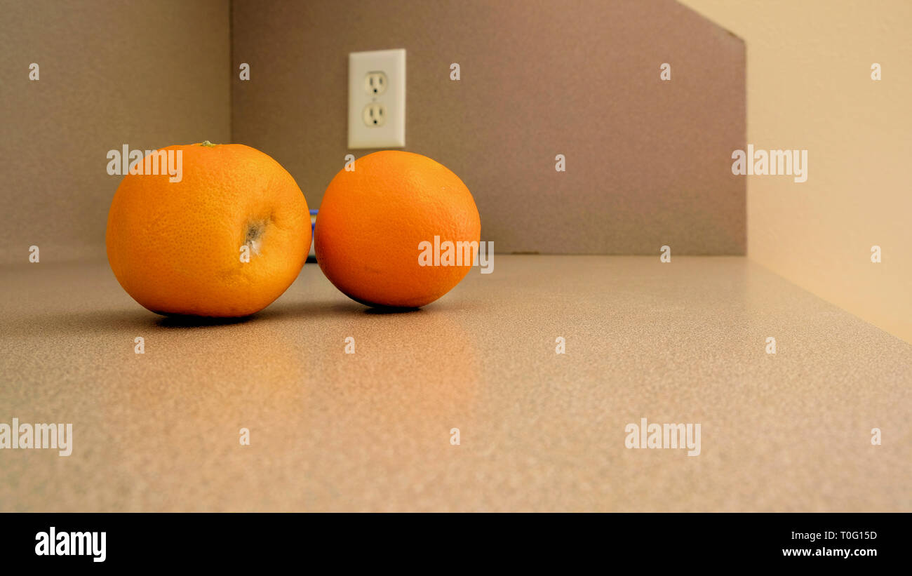 Due arance su un bancone cucina top; una putrefazione arancione; uno arance mature; concetto per il passaggio del tempo o differenza di età. Foto Stock