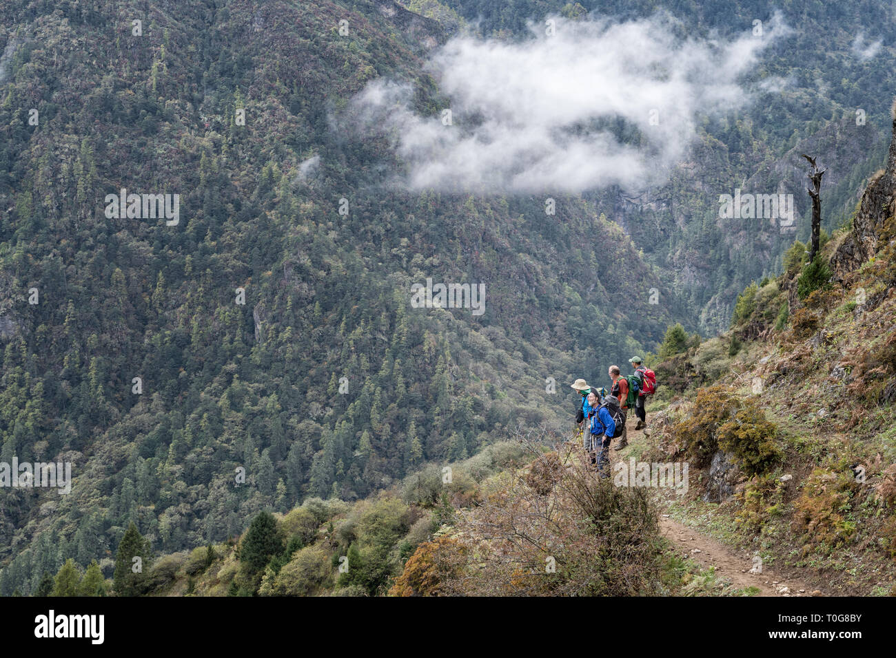 Andare fino alla valle tra Laya e Rodophu, Gasa distretto, Snowman Trek, Bhutan Foto Stock